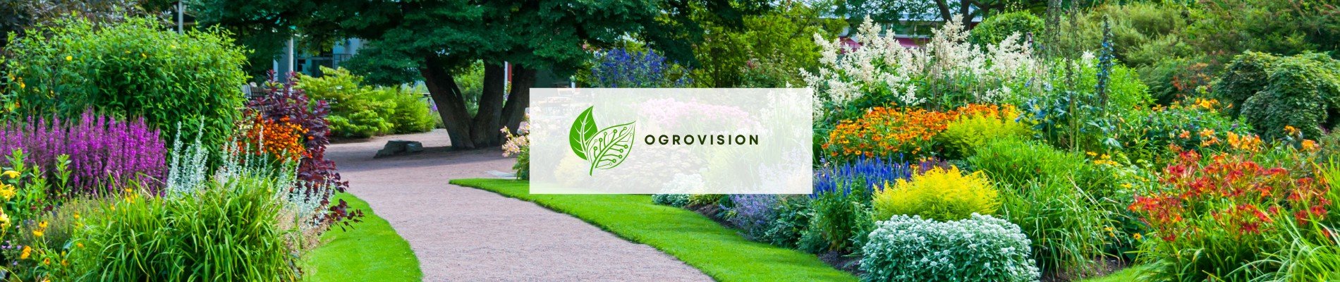Ogrovision - innowacyjna aplikacja AI do projektowania ogrodów